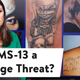 The Truth About MS-13
